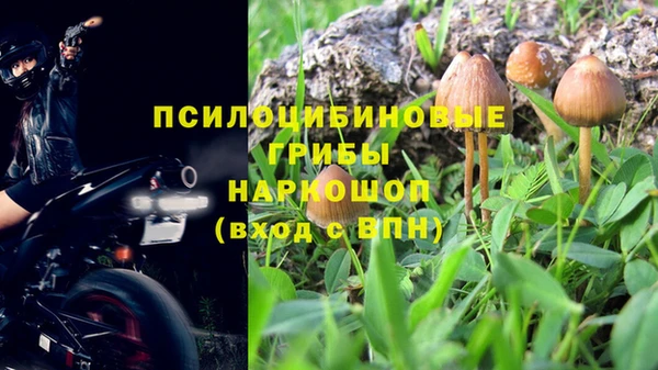 кокс Нестеровская