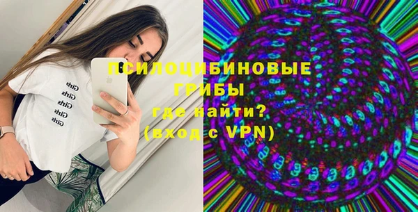 PSILOCYBIN Абинск