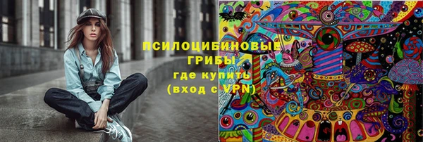 эйфоретик Осташков
