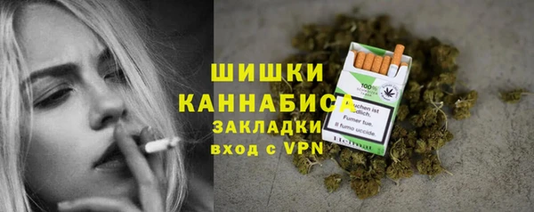 ГАЛЛЮЦИНОГЕННЫЕ ГРИБЫ Фёдоровский