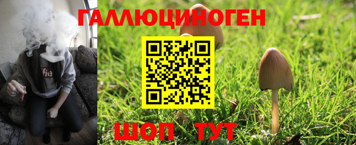 Псилоцибиновые грибы мицелий  наркотики  Новотроицк  Галлюциногенные грибы ЛСД  Вход с VPN 